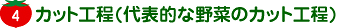 カット工程(代表的な野菜のカット工程)