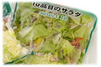 写真:Vol.86「10品目のサラダ」